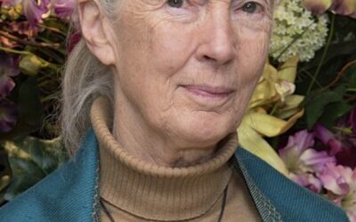 Jane Goodall, A Trailblazer in Primatology